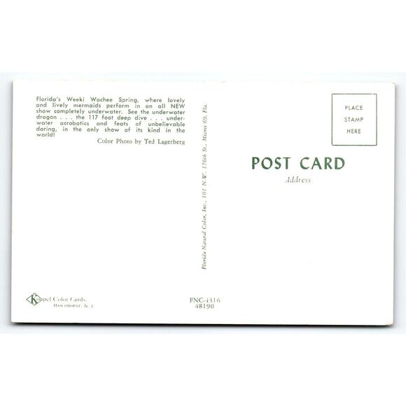 Weeki Wachee Florida Postcard Winged Swimsuit Mermaid Underwater Show Chrome - Picture 2 of 2